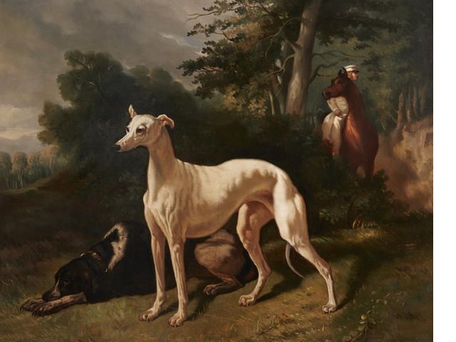 hounds-in-a-wooded-landscape