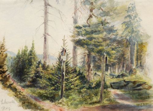 schierke-harz