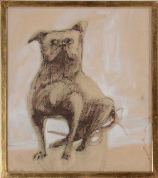 pug