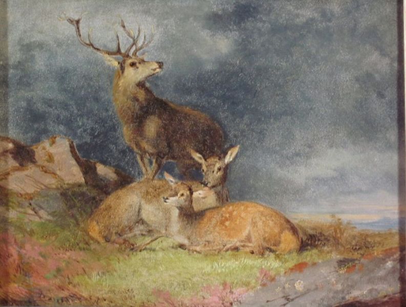 a-stag-and-does-in-a-highland-landscape