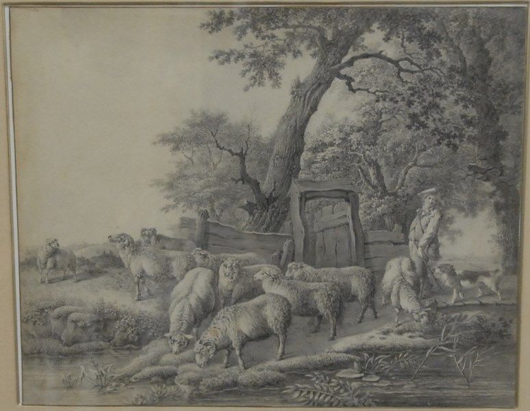 herding-the-sheep