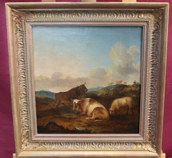 cattle-and-sheep-in-extensive-landscape