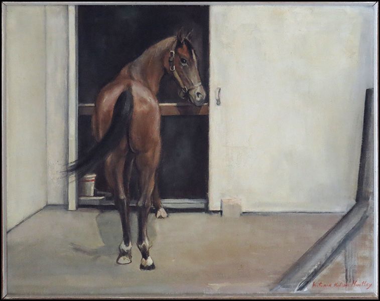 arabian-mare