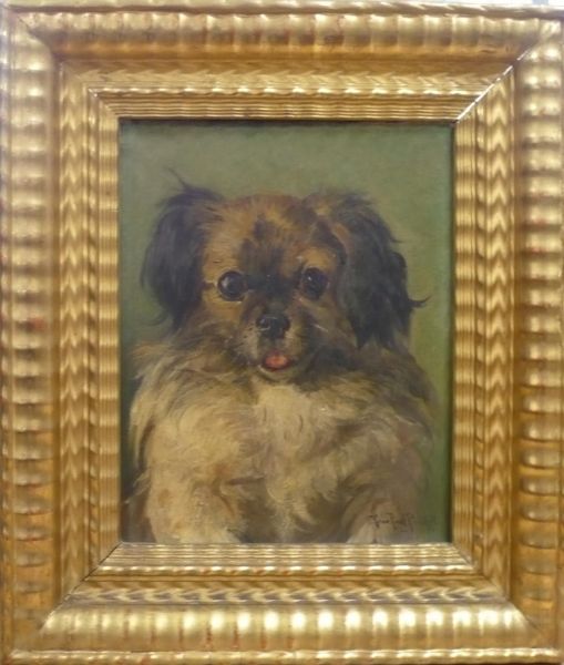 portrait-de-chien