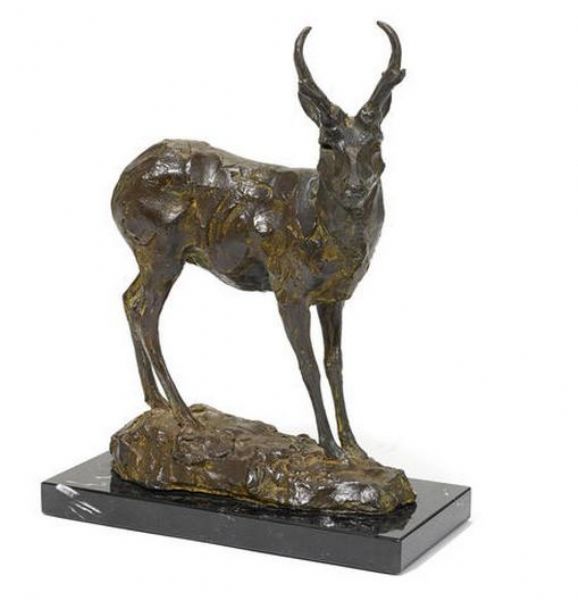 pronghorn