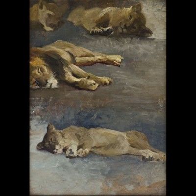 leoni-a-riposo