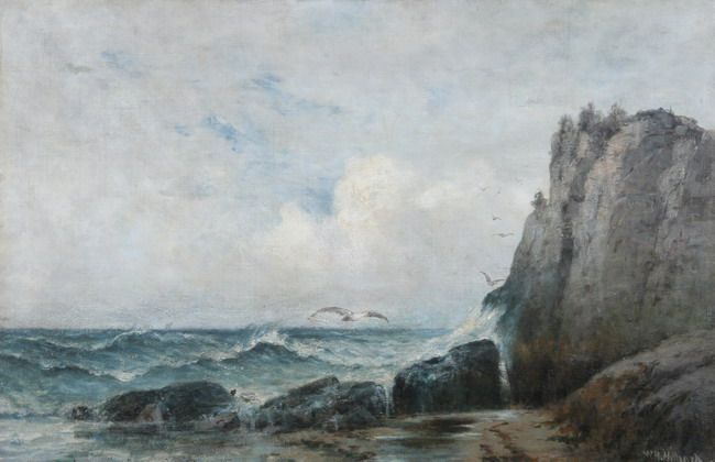 rocky-coast-with-gulls