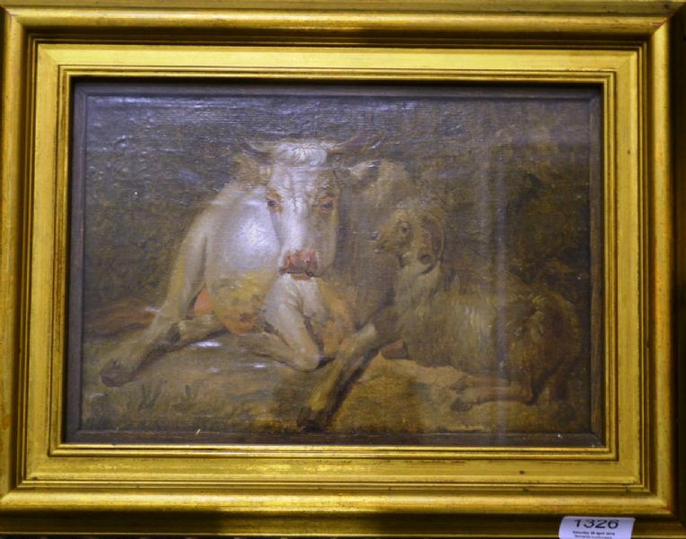 cattle-and-ram-at-rest