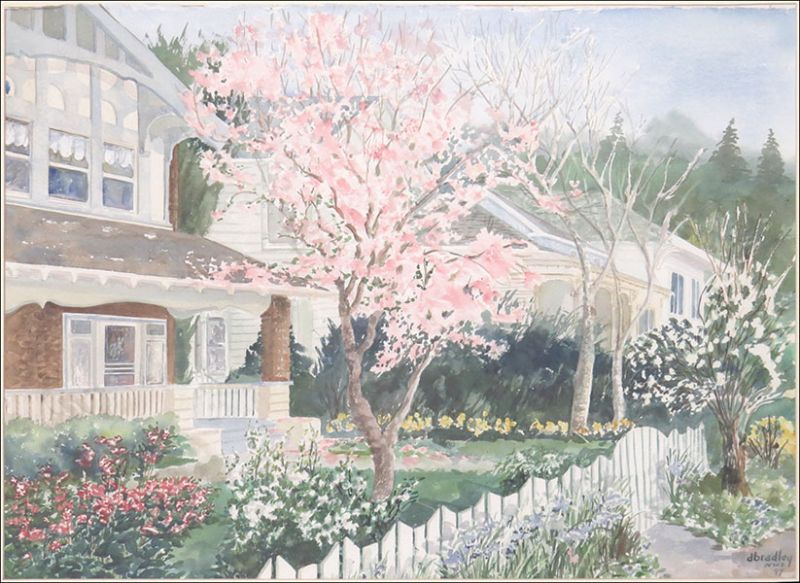trees-in-bloom
