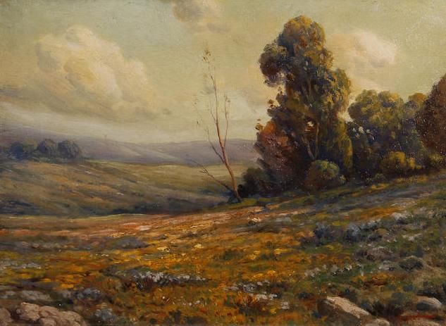 wildflowers-and-rolling-hills