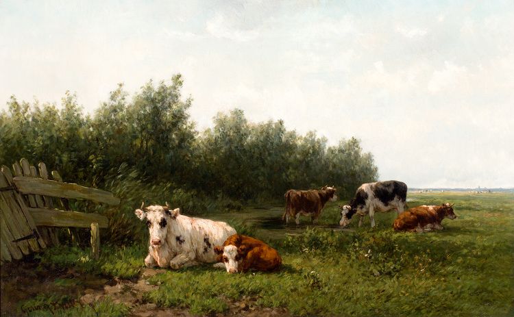 koeien-in-weidelandschap