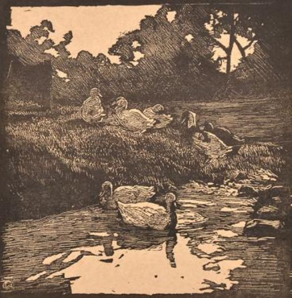 the-duck-pond