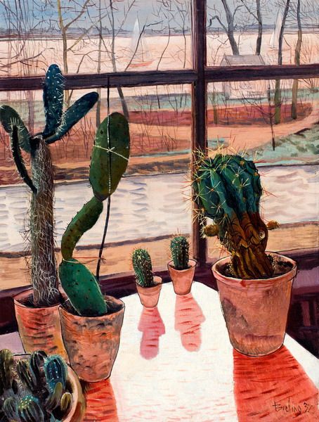 cactussen-in-het-venster-aan-de-horizon-boten-op-de-kralingse-plas