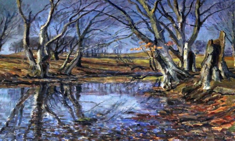 wooded-scene