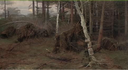 the-edge-of-the-woods