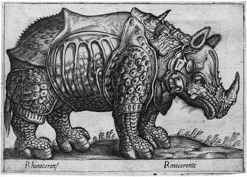 vier-darstellungen-mit-exotischen-tieren