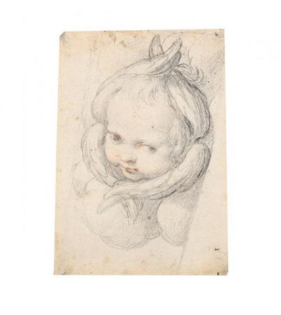 studio-di-cherubino
