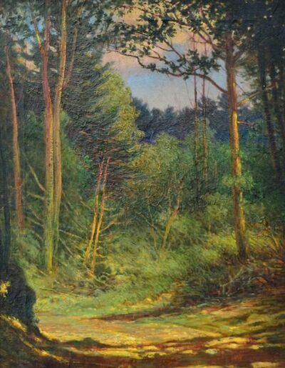 sunlit-forest-scene