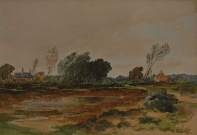 windy-landscape
