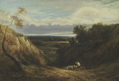 the-shepherd