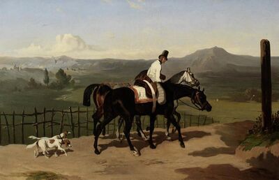 a-rider-in-an-extensive-landscape