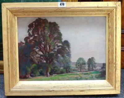 elm-trees-at-studland