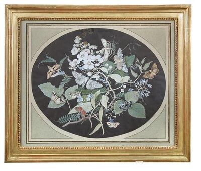 a-pair-of-george-ii-basso-relievo-gouache-still-life-of-moths-and-foliage