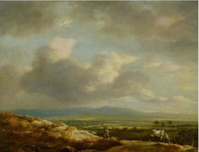 broad-hilly-landscape-panorama-with-horses-in-the-foreground