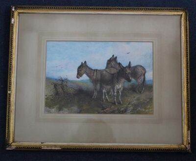 donkeys-on-a-hillside