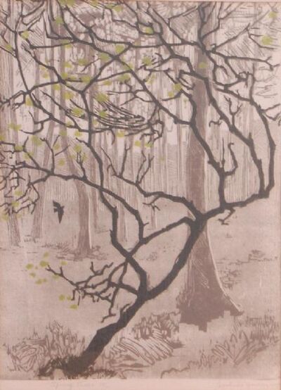 spring-trees