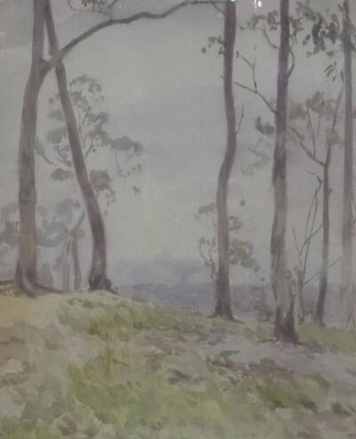 landscape-with-gums
