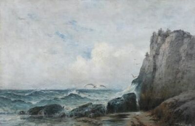 rocky-coast-with-gulls