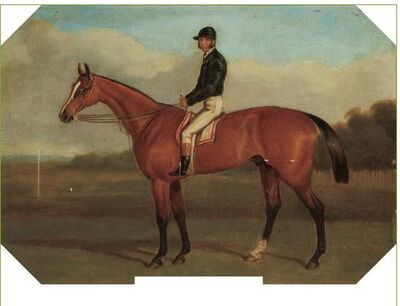 horse-with-jockey-up