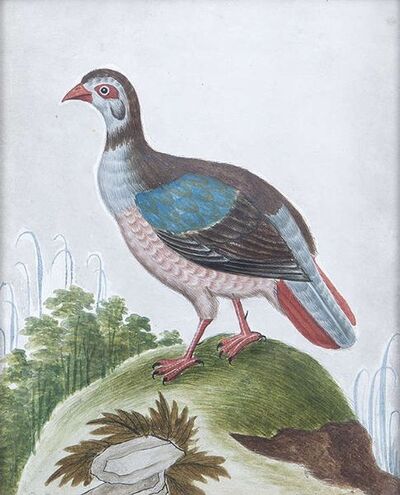 a-pair-of-basso-relievo-pictures-depicting-the-turaco-the-red-barbary-partridge