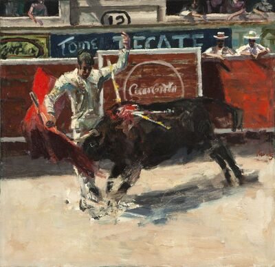 ole-bullfighter