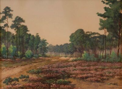 waldweg
