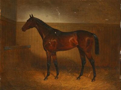 galtee-more-a-bay-horse-in-a-stable