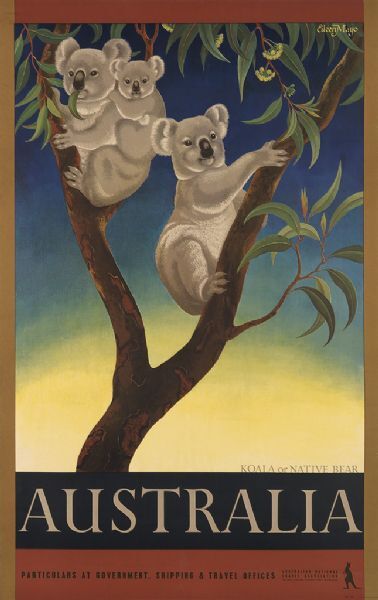 australia-koala-or-native-bear