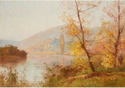 paysage-de-foret