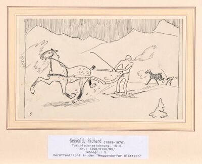wer-ist-der-schnellste-beim-skijoring