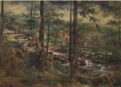 le-ruisseau-dans-la-clairiere