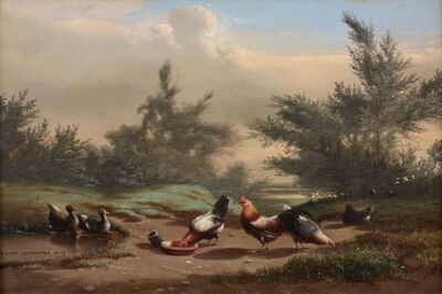 poultry-feeding-in-a-landscape