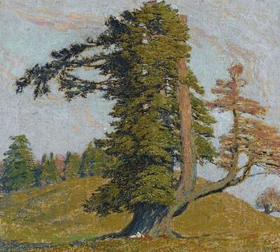 le-plus-beau-sapin-de-la-montagne-de-boujean