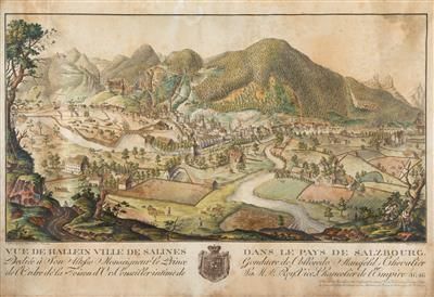 hauptansicht-von-hallein