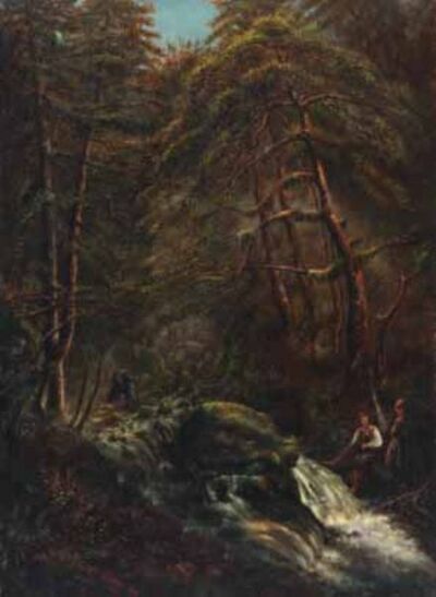 waldlandschaft-mit-reissendem-bach