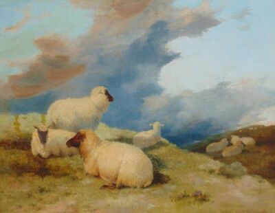sheep-in-moorland-landscape