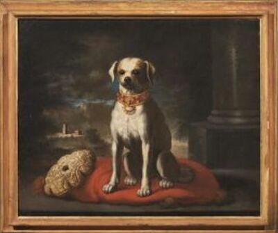 cagnolino-su-un-cuscino-rosso-con-paesaggio-sullo-sfondo