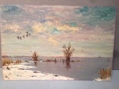 ducks-taking-flight-over-a-winter-fenland-landscape