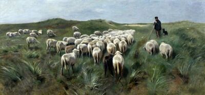 herder-met-zijn-kudde