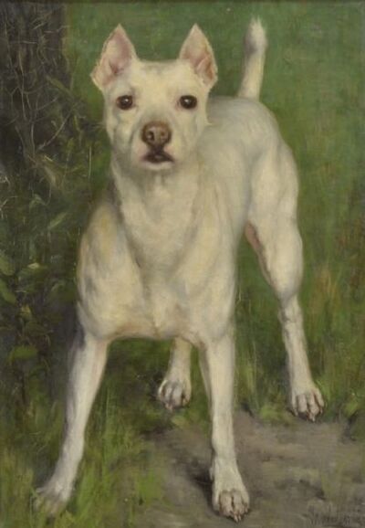 hundportratt